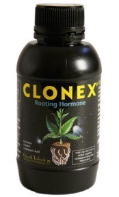 Hormones enracinement Clonex
