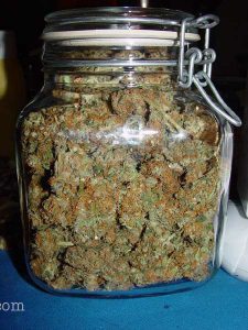Comment conserver cannabis