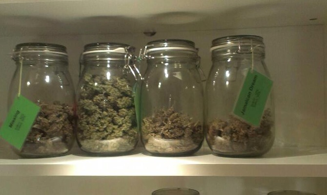 Conservación del cannabis en botes de cristal.