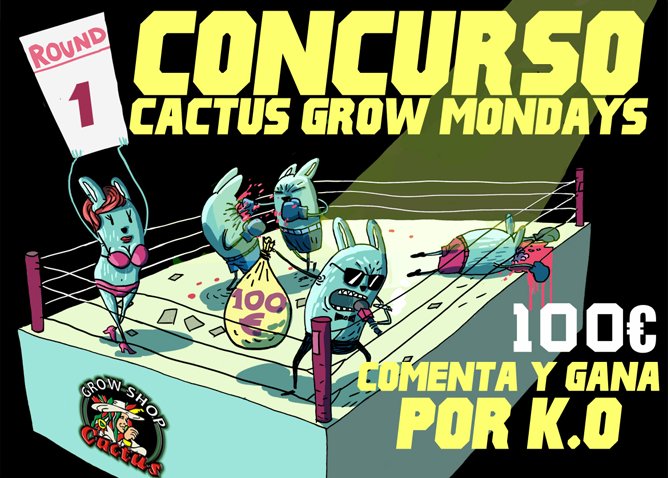 Concurso_cactus_grow_1