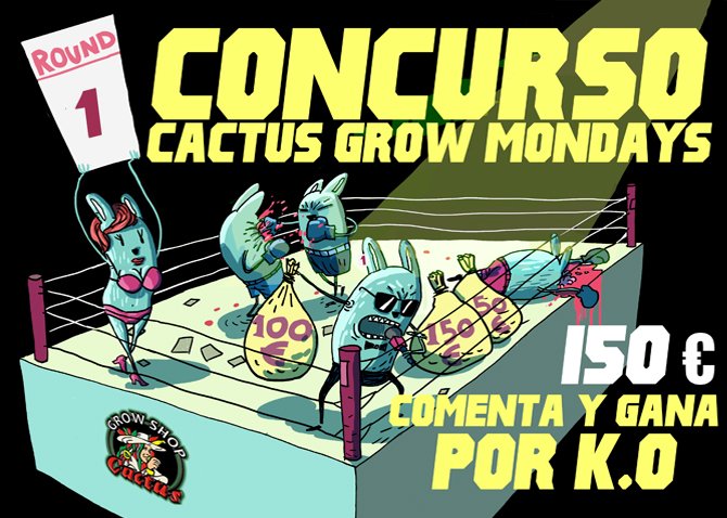 Concurso-Cactus-Grow-Mondays-mes