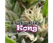 Auto King Kong Autoflorecientes