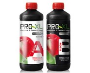 BLOOM A&B Pro-XL