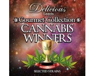 CANNABIS WINNERS #2 Delicious Seeds