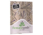 CBD TERRA ITALIA Female Seeds