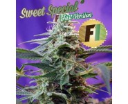 SWEET SPECIAL FAST VERSION Sweet Seeds