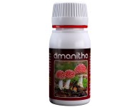 Amanitha de Agrobacterias