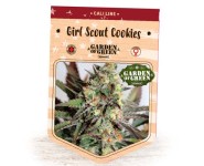 Graines féminisées Girl Scout Cookies