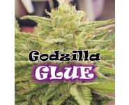 Godzilla Glue Semillas Feminizadas