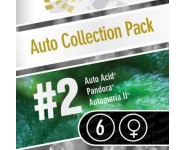 AUTO COLLECTION PACK 2 Paradise Seeds
