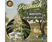 PISTHASH TH Seeds 