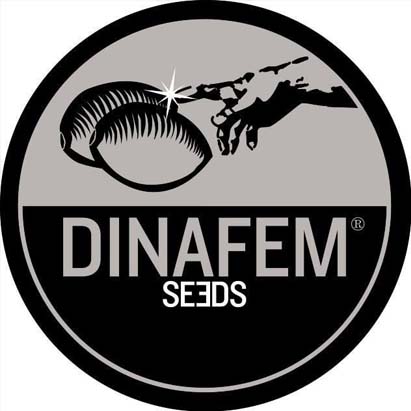 Dinafem Seeds