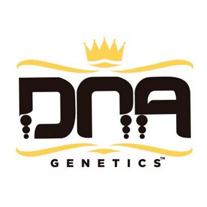 Dna Genetics