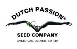 Graines Dutch Passion