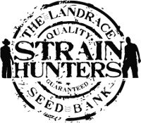 Strain Hunters Seed Bank